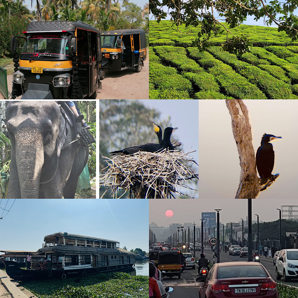 Fotos der Pilgerreise nach Indien