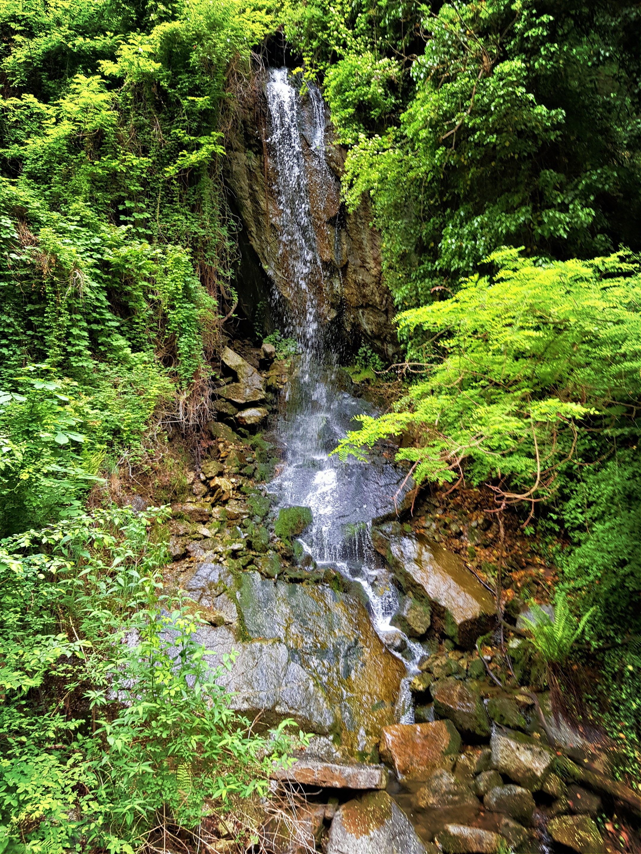 Wasserfall, am Ende ein Bachlauf, rechts und links Sträucher