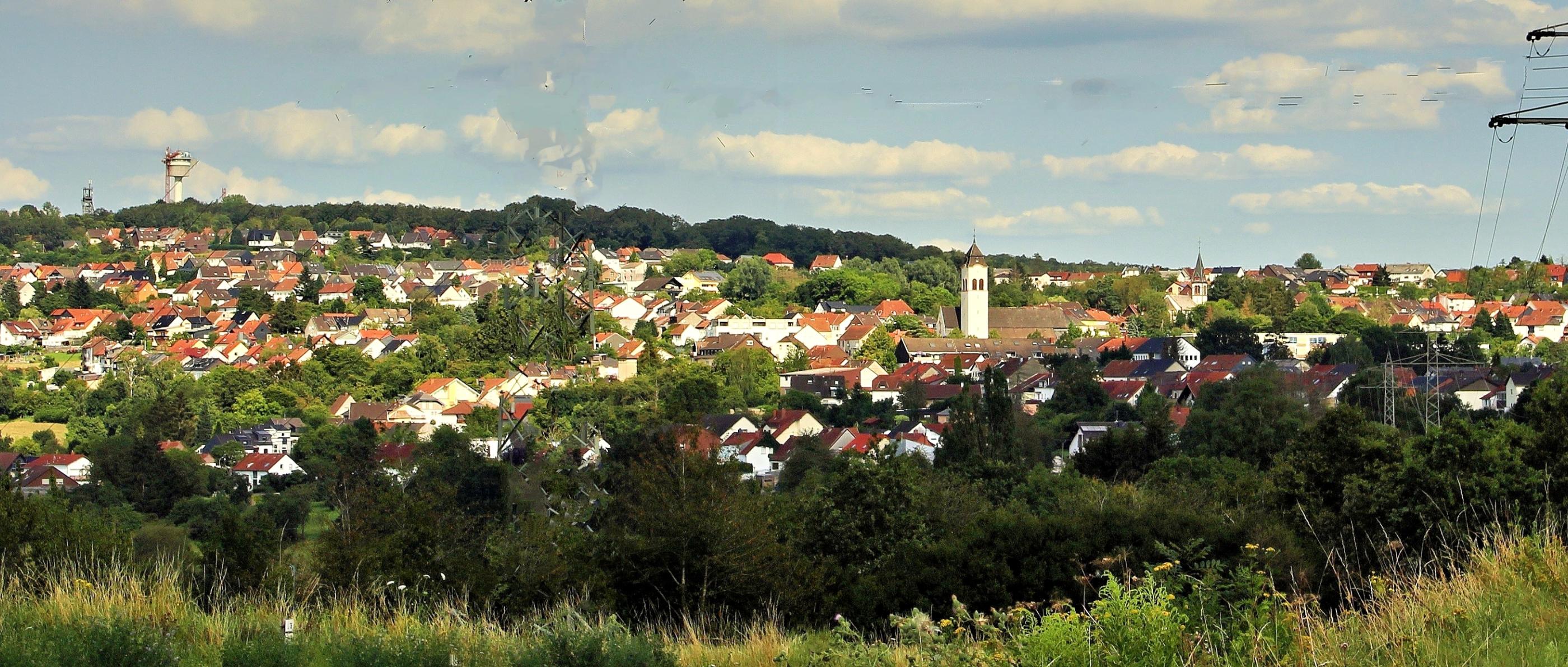 Blick auf die Gemeinde Holz