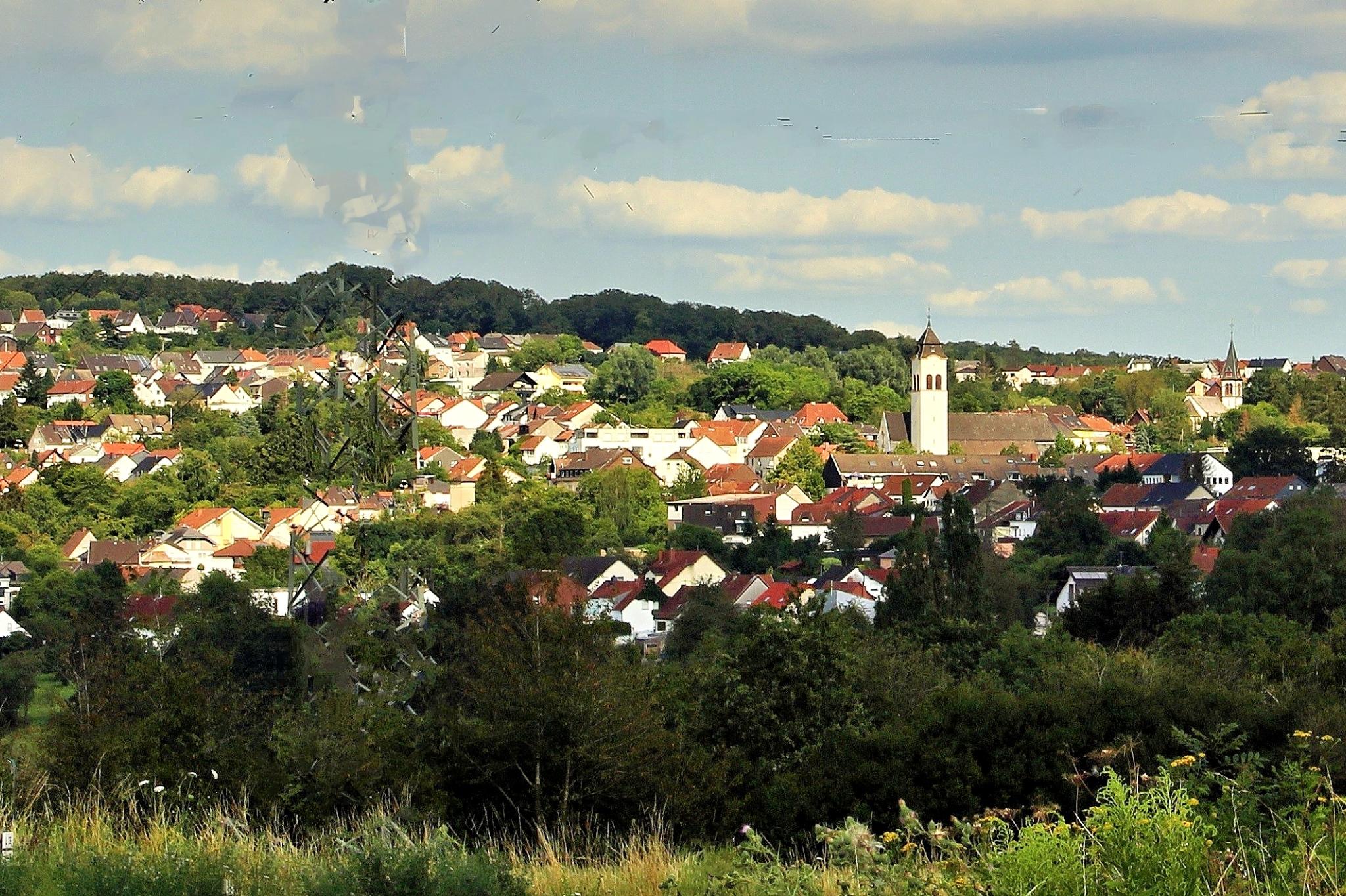 Blick auf die Gemeinde Holz