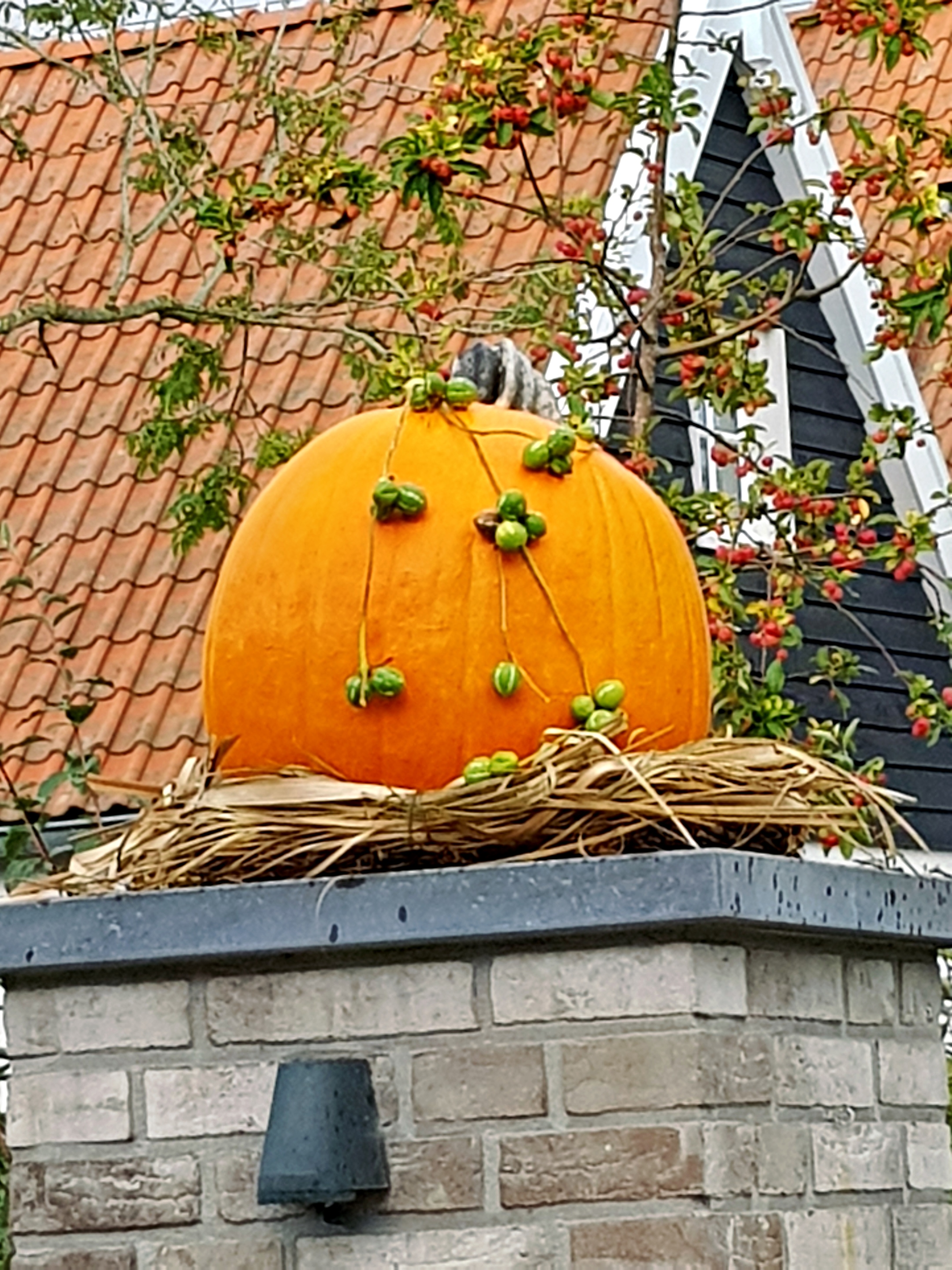 verzierter Riesenkürbis